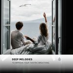 Birds and Soft Ocean Waves