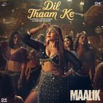 Dil Thaam Ke From Maalik