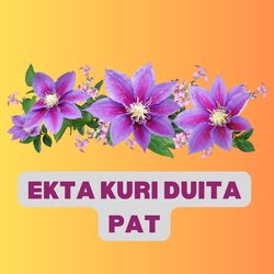 EKTA KURI DUITA PAT-OV4teR8JAF0