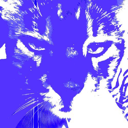 Ilma cover art