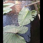 Jangan mudah cemburu