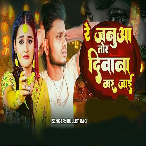 Janua Tor Deewana Mar Jai