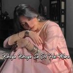 Tere Bin Khud Ko Kho Baitha