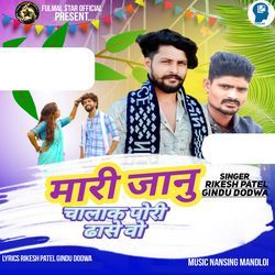 Mari Janu Chalak Pori Dhase Vo