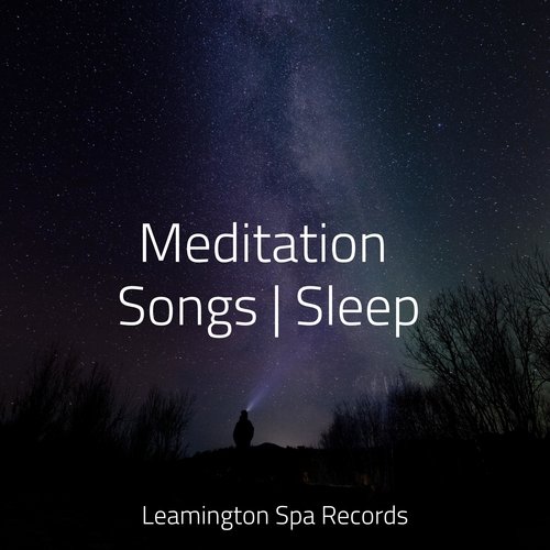 Sleep Music cover art