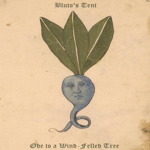 70's Prog Rock Lyrics cover art