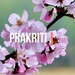 Prakriti