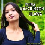 Pura hazaribagh Jilwa