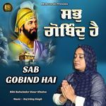 SAB GOBIND HAI