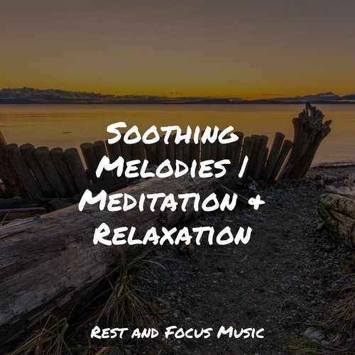 Soothing Melodies | Meditation &amp; Relaxation_poster_image