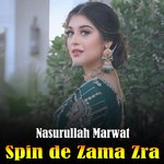 Spin de Zama Zra