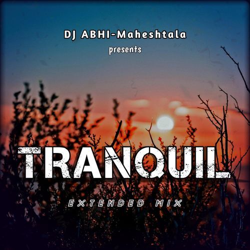 Tranquil (Extended Mix) cover art