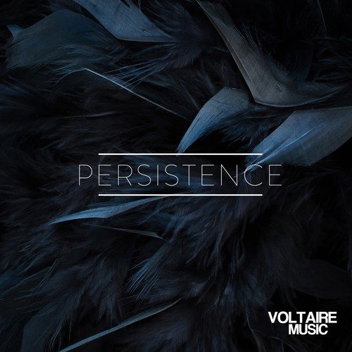 Voltaire Music Pres. Persistence #1