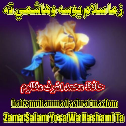 Talib Zama Da