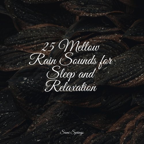 25 Mellow Rain Sounds for Sleep and Relaxation_poster_image