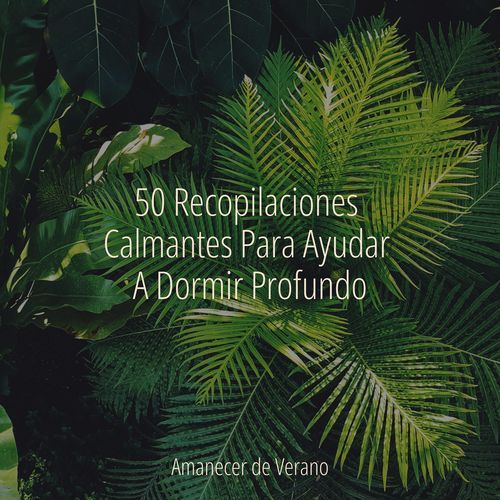 50 Recopilaciones Calmantes Para Ayudar A Dormir Profundo