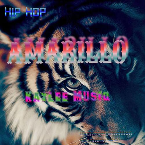 Amarillo beat cover art
