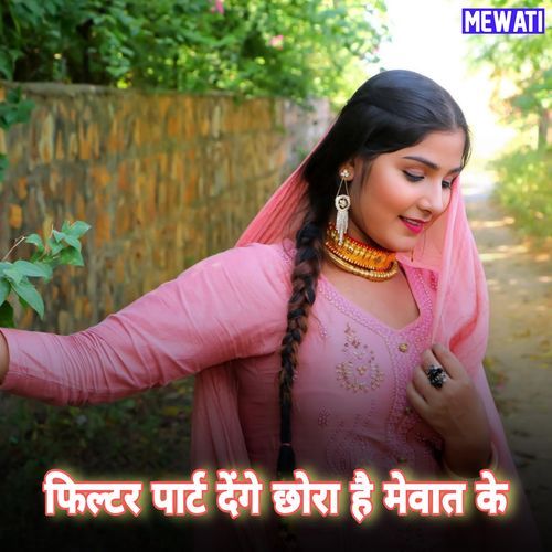 फिल्टर पार्ट देंगे छोरा है मेवात के