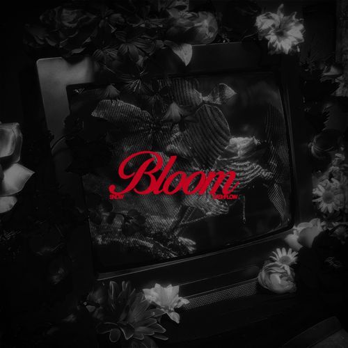 BLOOM_poster_image