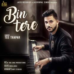 Bin Tere-J1saWExEAns