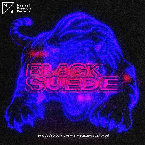 Black Suede_poster_image