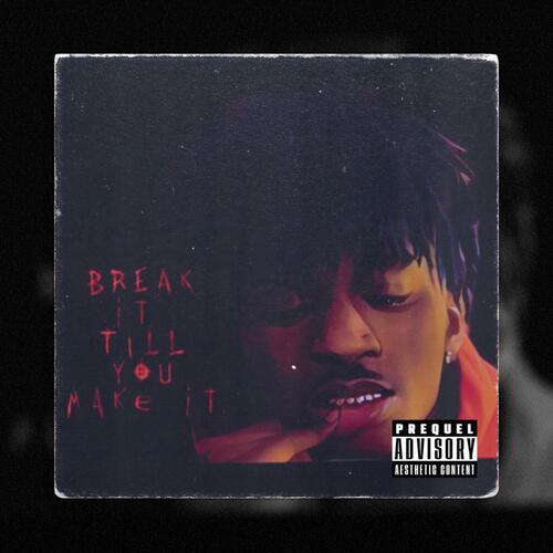 Break It Till You Make It cover art