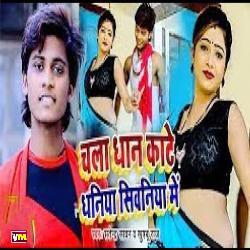 Chala Dhan Kate Dhaniya Siwaniya Me-SCMSbjNxY0o