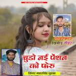 Chudo Nai Penshan Ko Feru