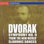 Symphony No. 9 In E Minor Op. 95 "From The New World" - Adagio - Allegro Molto