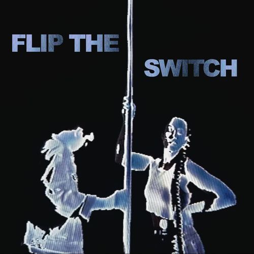 Flip The Switch_poster_image