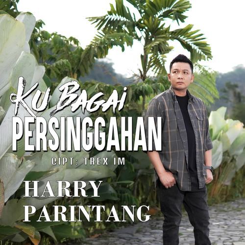Ku Bagai Persinggahan