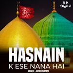 Hasnain K Ese Nana Hai