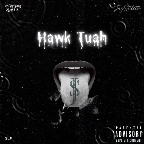 Hawk Tuah cover art