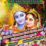 Kanha Yamuna Kud Chale Aao Kahve Radha Pyari