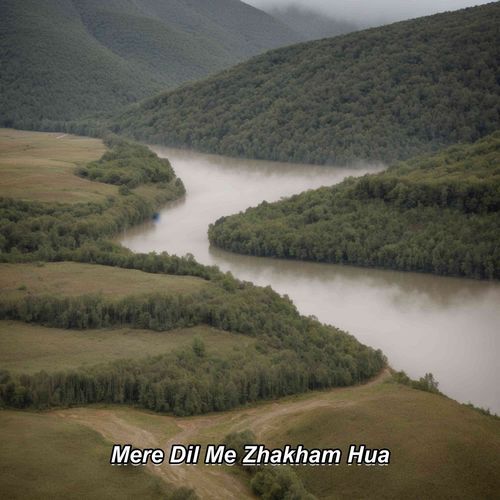 Mere Dil Me Zhakham Hua
