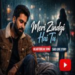 Meri Zindagi Hai Tu