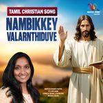 Nambikkey Valarnthiduve