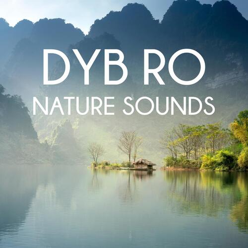 Campfire (Nature Sounds) cover art