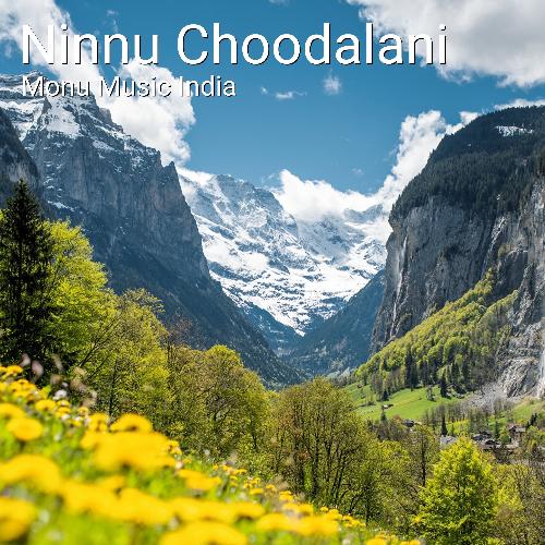 Ninnu Choodalani (Happy Version)