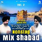 Non-Stop Hazuri Ragi Shabad Kirtan Vol 2