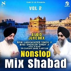 Non-Stop Hazuri Ragi Shabad Kirtan Vol 2