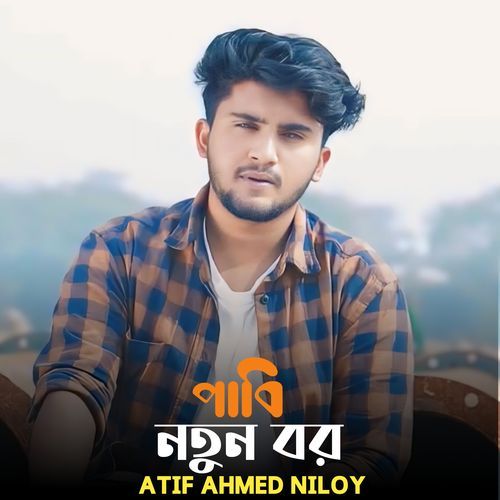Paibi Notun Bor