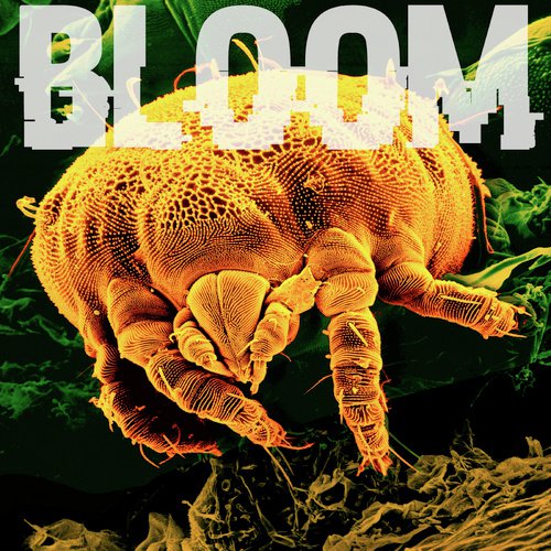 Atonal cover art