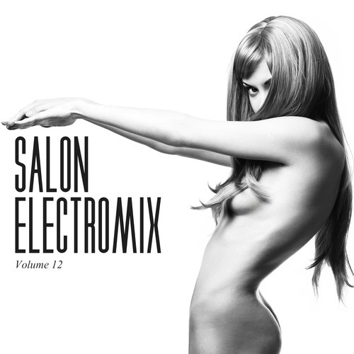 Salon Electromix, Vol. 12