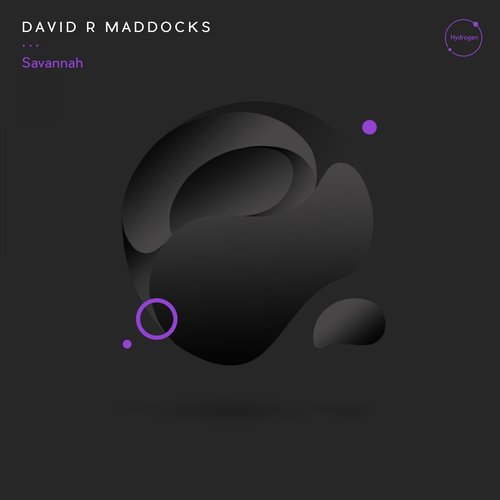 David R Maddocks