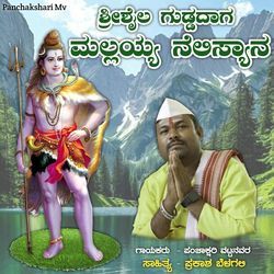 Shrishaila Guddadag Mallayya Nelisyan