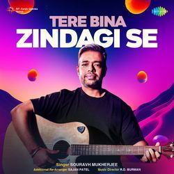 Tere Bina Zindagi Se