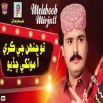 To Jinh Je Kare Aa Mokhe Chadyo