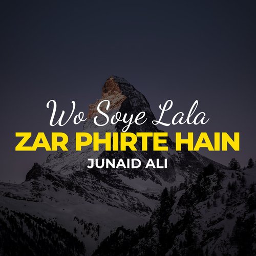 Wo Soye Lala Zar Phirte Hain