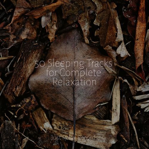 50 Sleeping Tracks for Complete Relaxation_poster_image